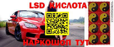 ГАЛЛЮЦИНОГЕННЫЕ ГРИБЫ Дубна
