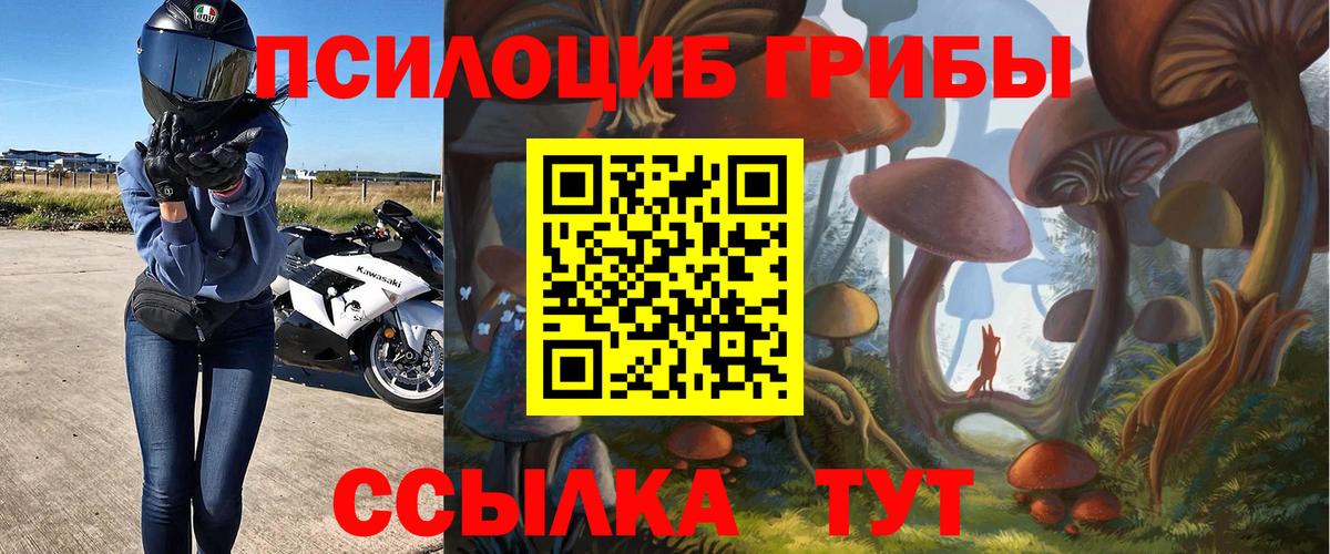 Галлюциногенные грибы мухоморы  Вход с VPN  Медногорск 